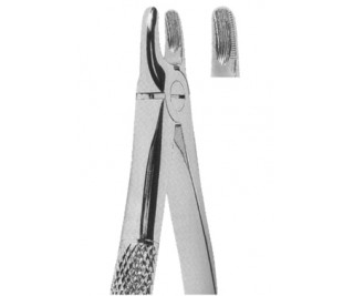 Extracting Forceps English pattern
